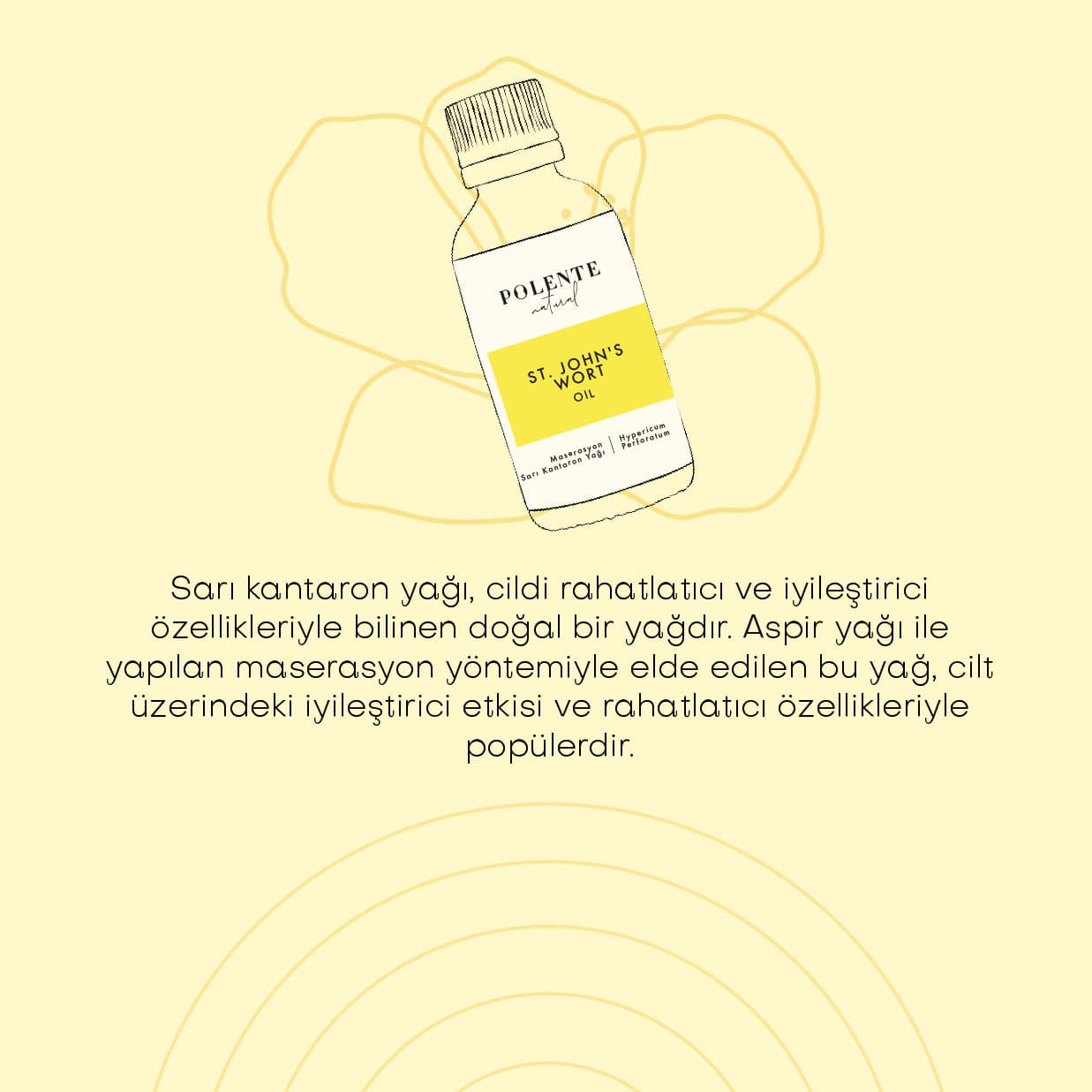 Sarı Kantaron Yağı  - Aspir Maserasyon (50 ml)