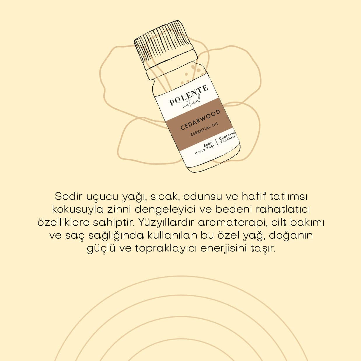 Cedar Essential Oil (5 ml)