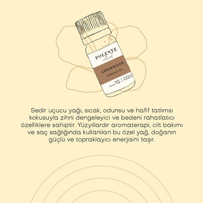 Cedar Essential Oil (5 ml)